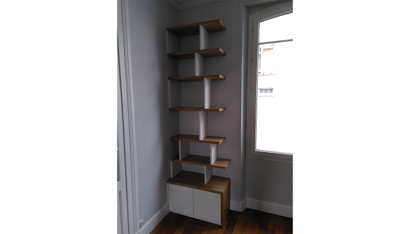 Réalisation d'une Bibliothèque sur mesure dans une maison à Saint Denis en Val