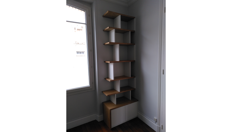 Réalisation d'une Bibliothèque sur mesure dans une maison à Saint Denis en Val